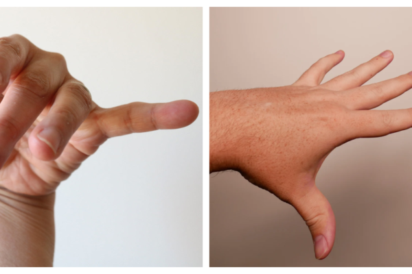 Hand Reference: Crafting with precision in art, anatomy